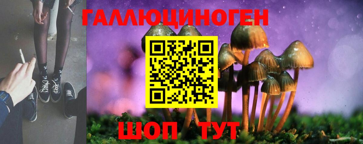 Псилоцибиновые грибы Cubensis  Галлюциногенные грибы мухоморы  Уссурийск  Вход с VPN 